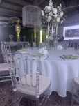 Аренда стульев Прокат стула Кьявара Chiavari