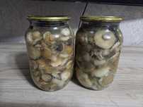 Грибы маринованные