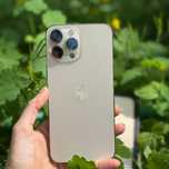 iPhone 13 Pro Max (512)