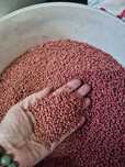 Продам корм для прудовых рыб