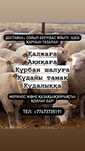 Қой / тоқты сатылады отборный семіз