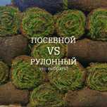 Рулонный газон от производителя с гарантией