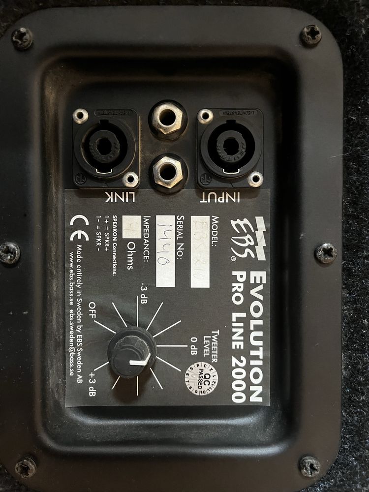 EBS Fafner bass head and cab