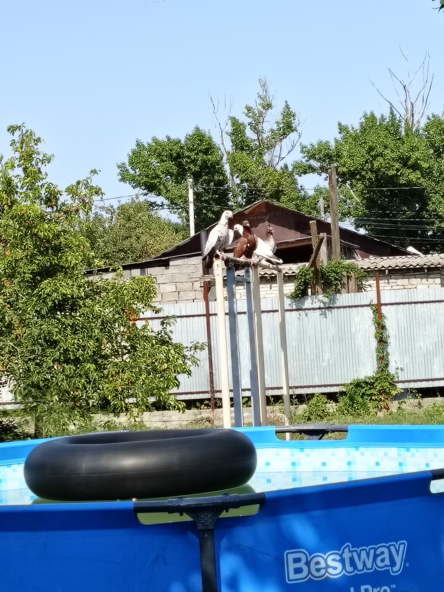 Бассейн продам 3 куба