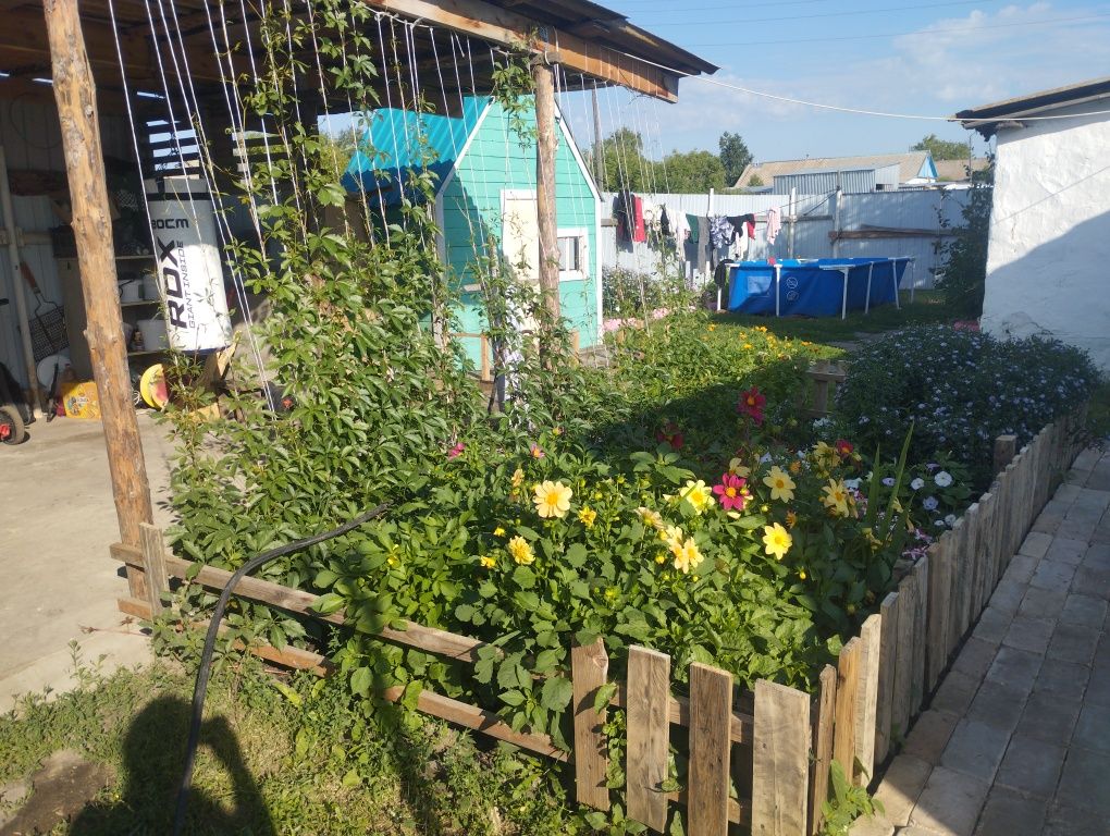 Продам дом  п.Александровка