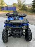 Квадроцикл Fourcraft 250 от TaoMotor