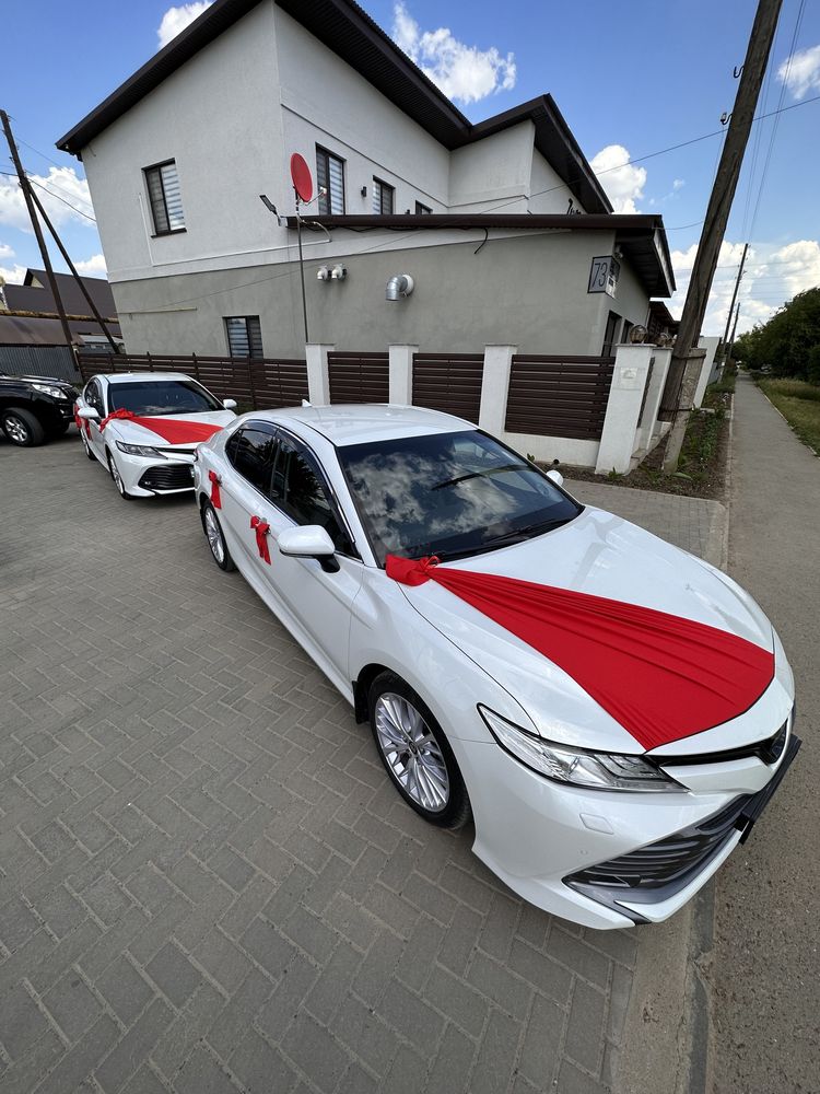 Трансфер , Аренда , Аренда Авто , Той , Кудалык , Прокат авто