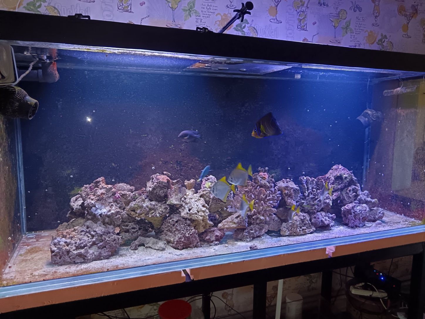 Аквариум морской 1 тонна воды могу продать под пресник отдельно по дог