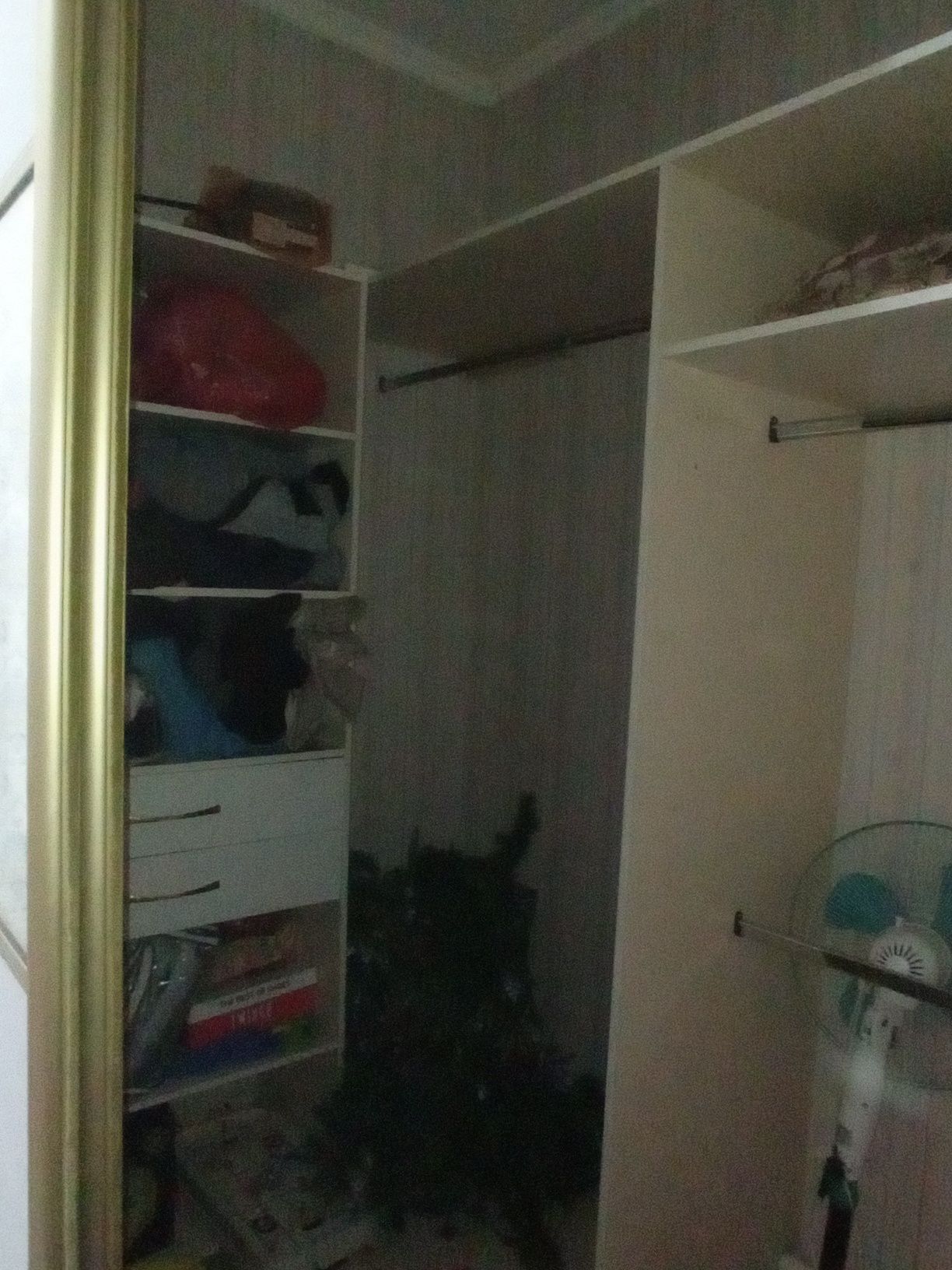 Продам гардеробную выдвижную дверь купе с полками