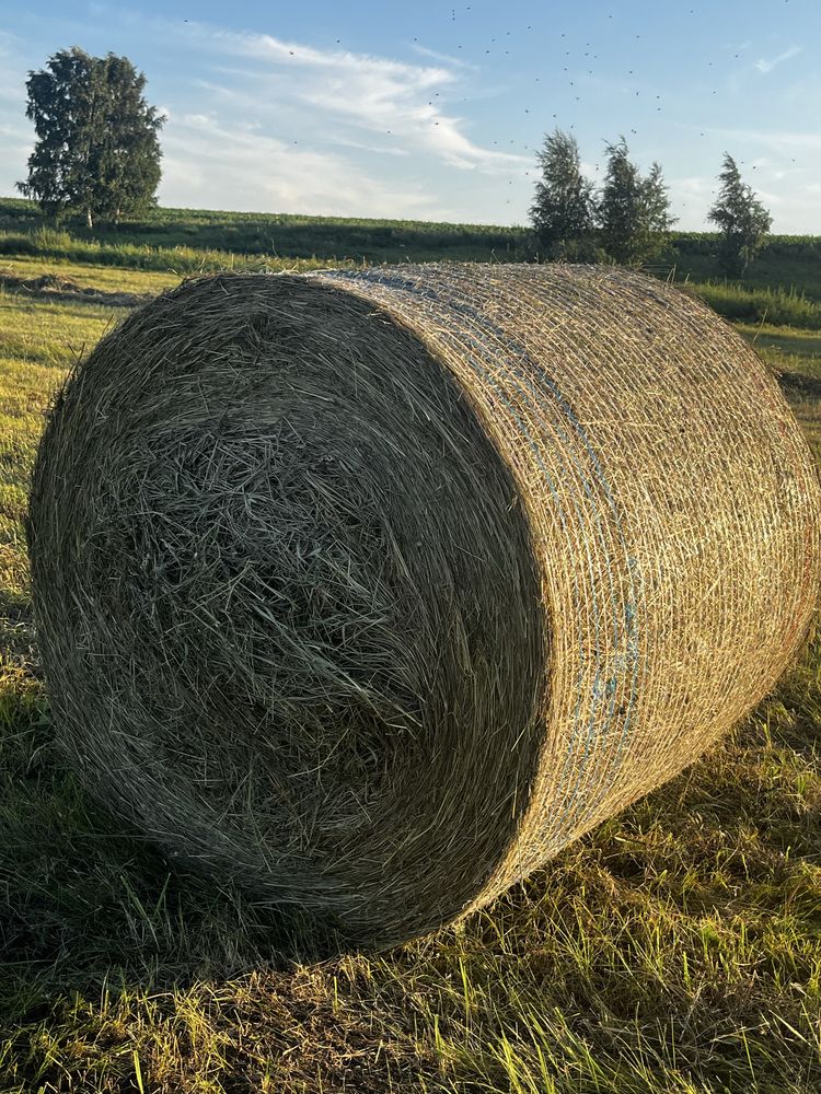 Продам сено в тюках