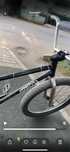 Cruiser petava black