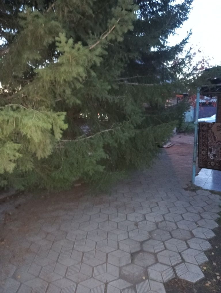 Дачу на продажу сроч