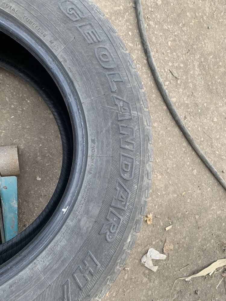 Автошины летние.