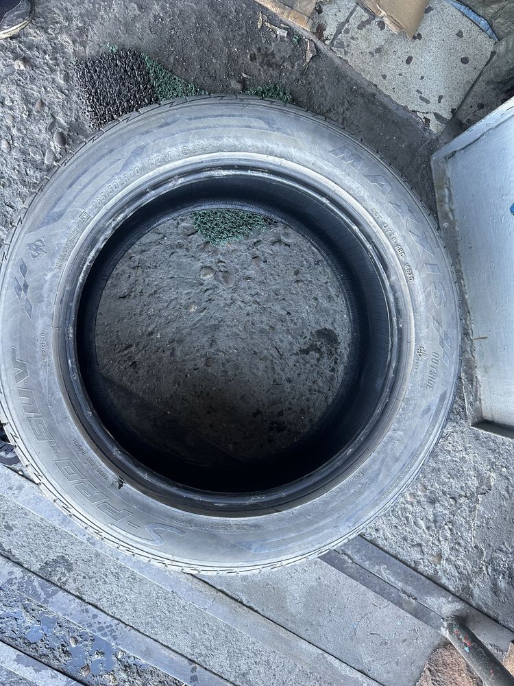 Продам резину Maxxis