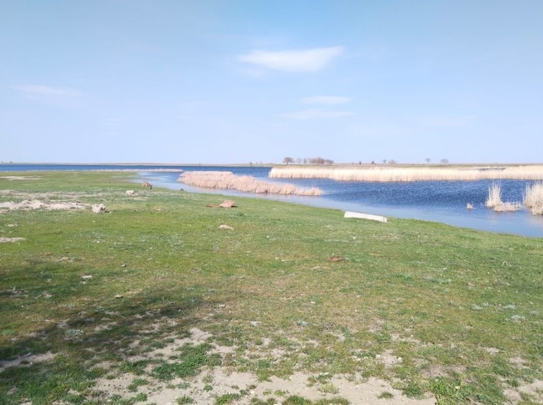 Продается фазенда недалеко от города Тараз,