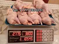 Продам мясо домашних перепелов