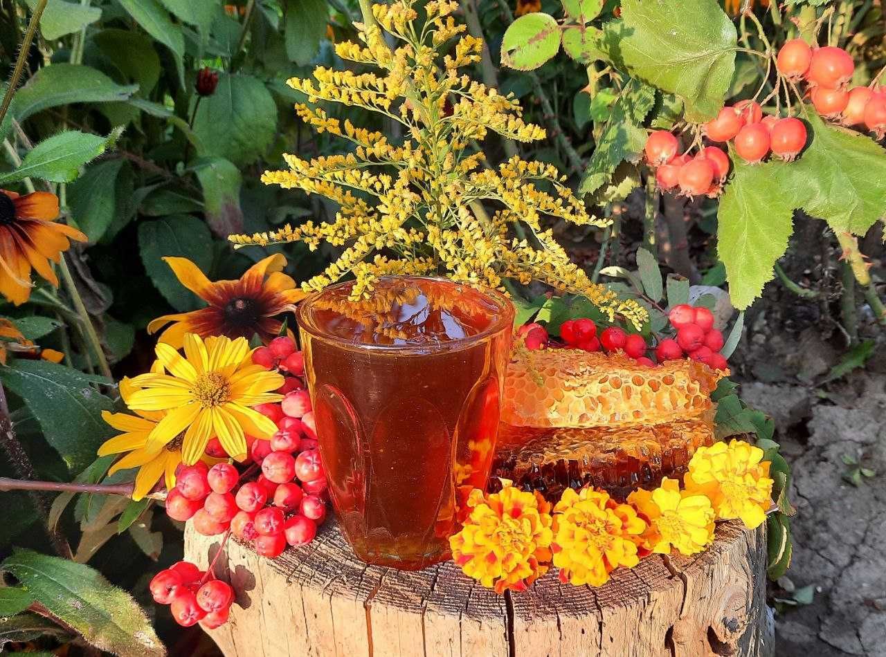 МЁД ГОРНОЕ РАЗНОТРАВЬЕ (домашняя пасека) для Усть-Каменогорска