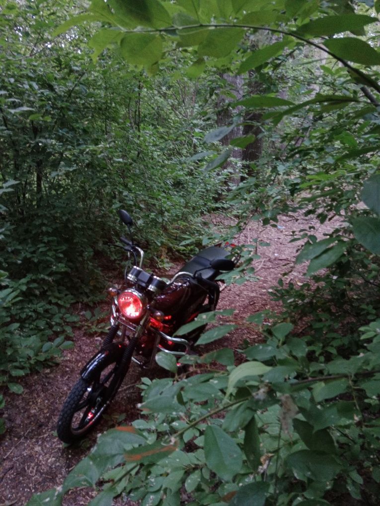 Продам мопед Imperia moto alpha samyrai 110