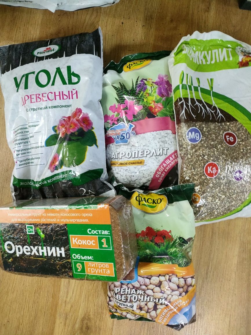 Пересадка комнатных растений