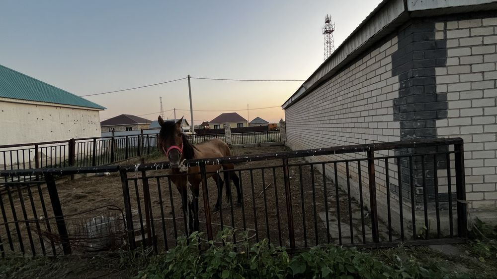 Продам дом большой