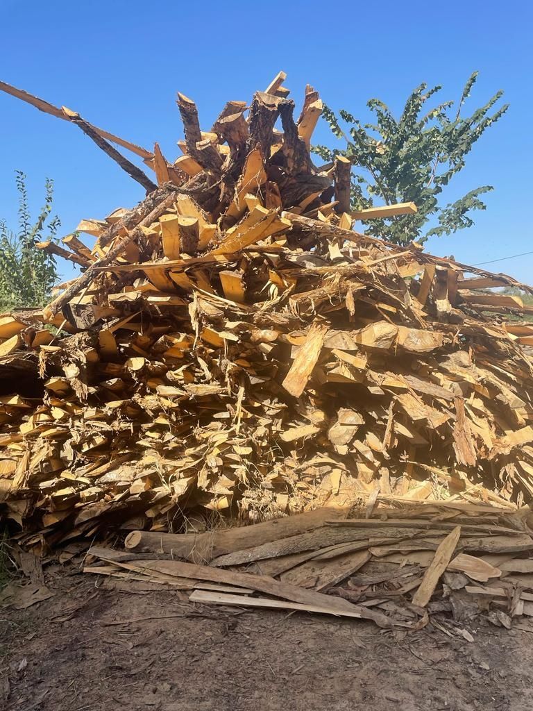 Продам дрова карагач, дуб, ясень, тополь