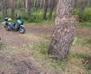 Продам скутер Tank N 10