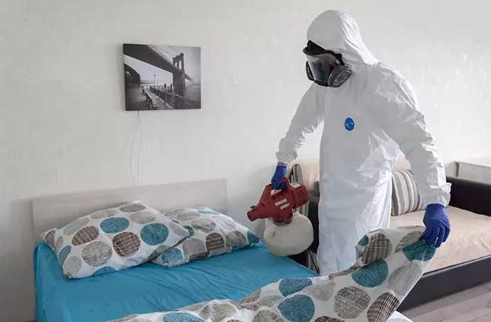 Пәтерлерге дезинсекция: тарақандар мен қандалалардан тазалаңыз