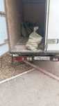 Вывоз мусора газель грузчики