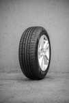 Rapid 185/55R15 ECO809 82V