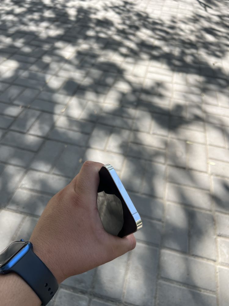 iPhone 12 Pro Max