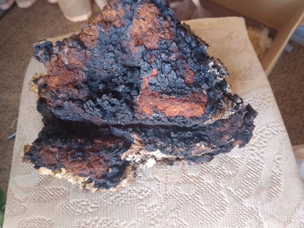 Березовая чага продам