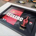 Идеальный подарок для любителей гонок и F1 racing