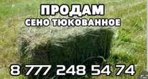 Продам зеленое сено