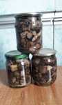 Продам вкусные грибочки Токуши