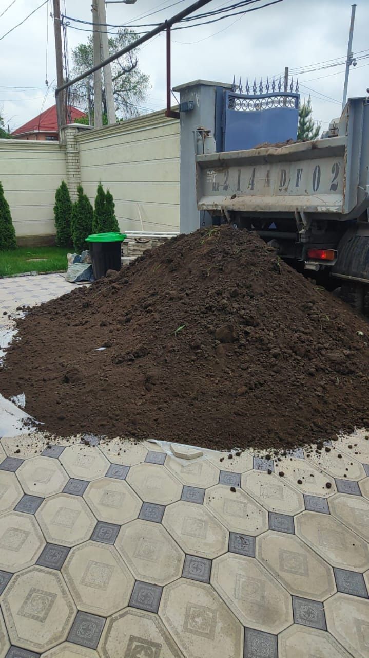 Горный. Чернозем