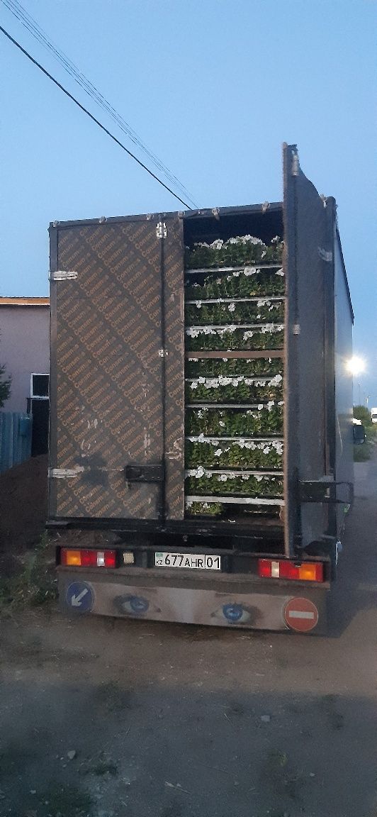 Продам срочно газель