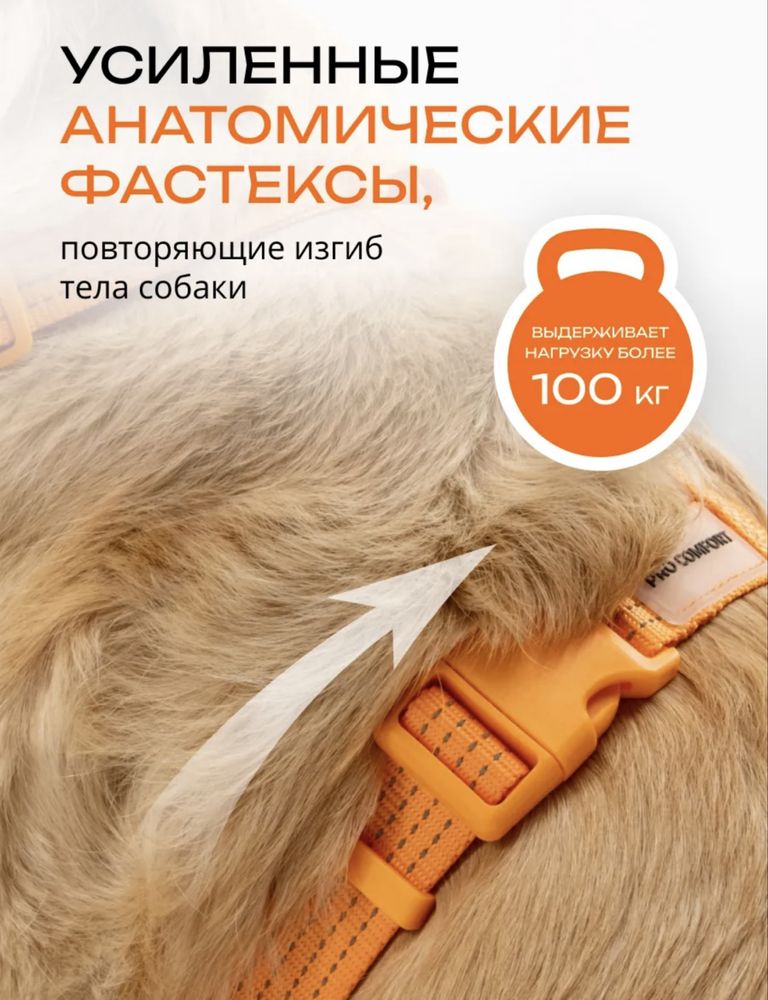 Шлейка для собак и кошек Pro comfort