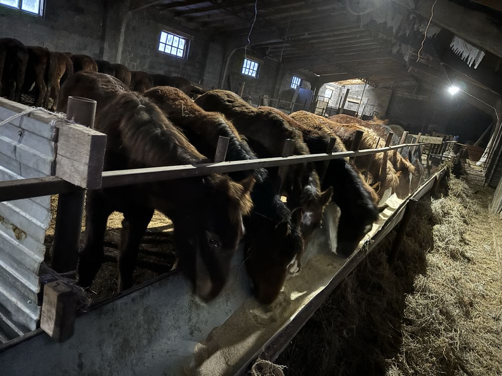 Срочно продам или сдам в аренду базу с земельным участком