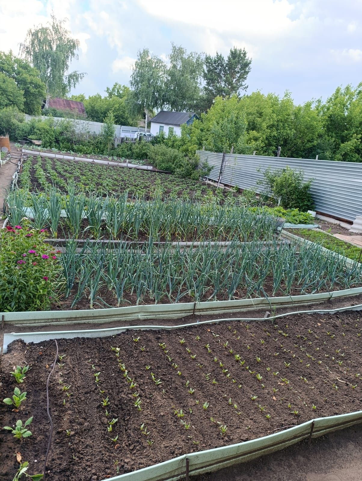 Продам дачу 7 соток