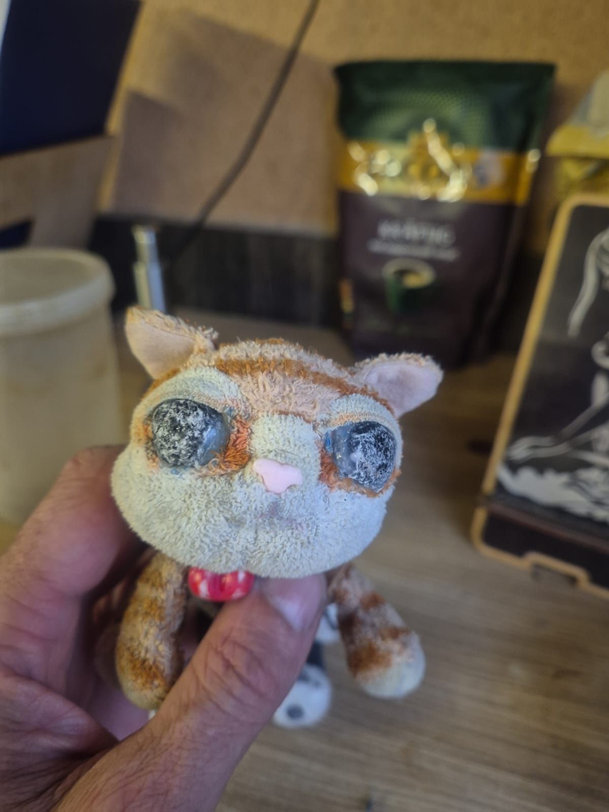 Любимый Котенок Рыжик