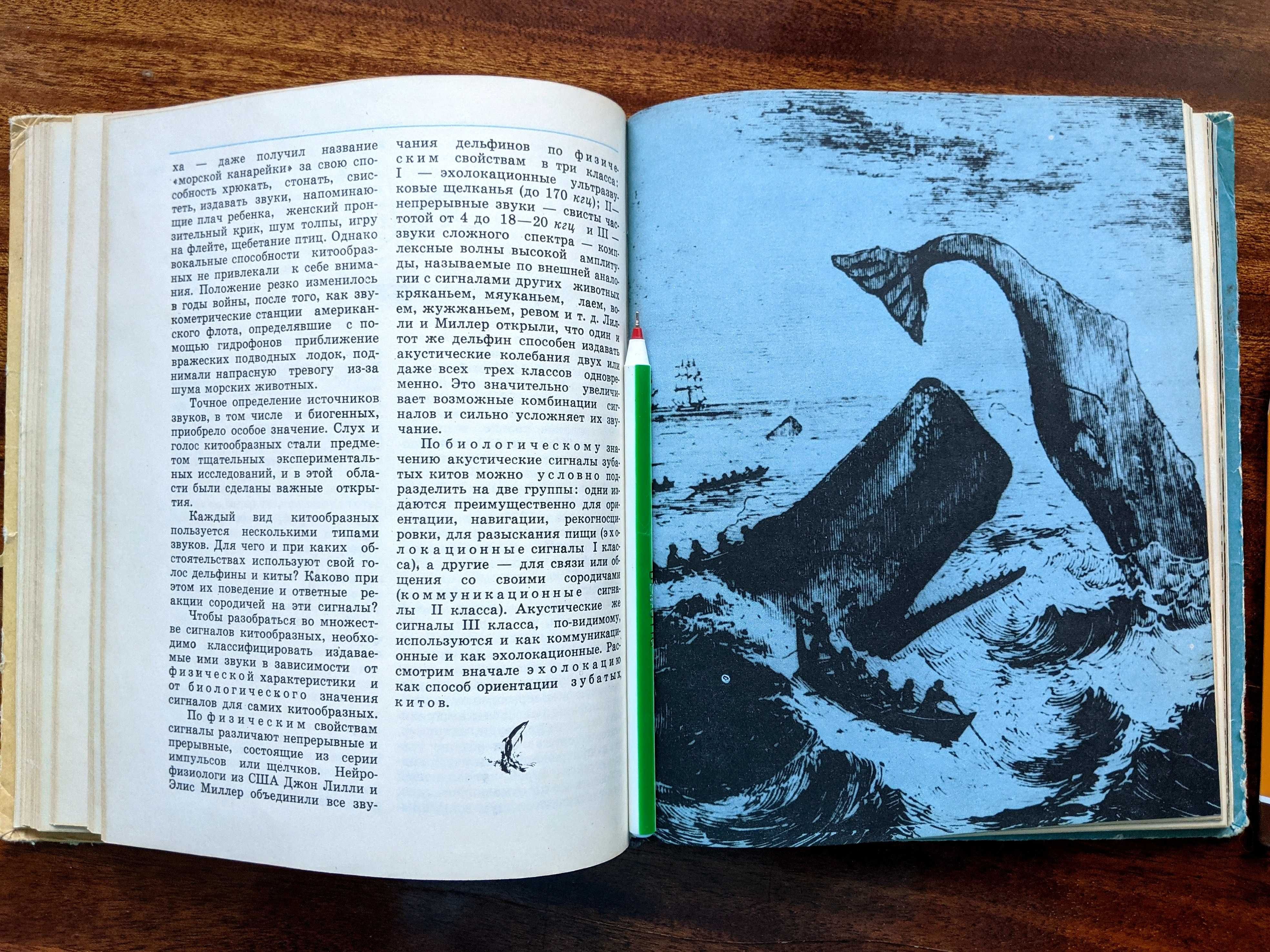 Книга «В мире китов и дельфинов»