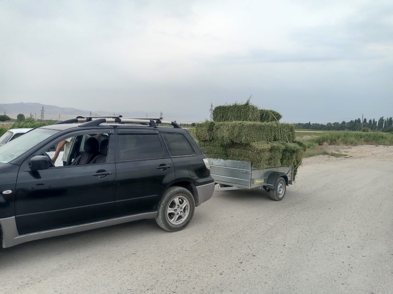 Клевер 2 укоса. Доставка по городу до 30 шт цена 2000тг