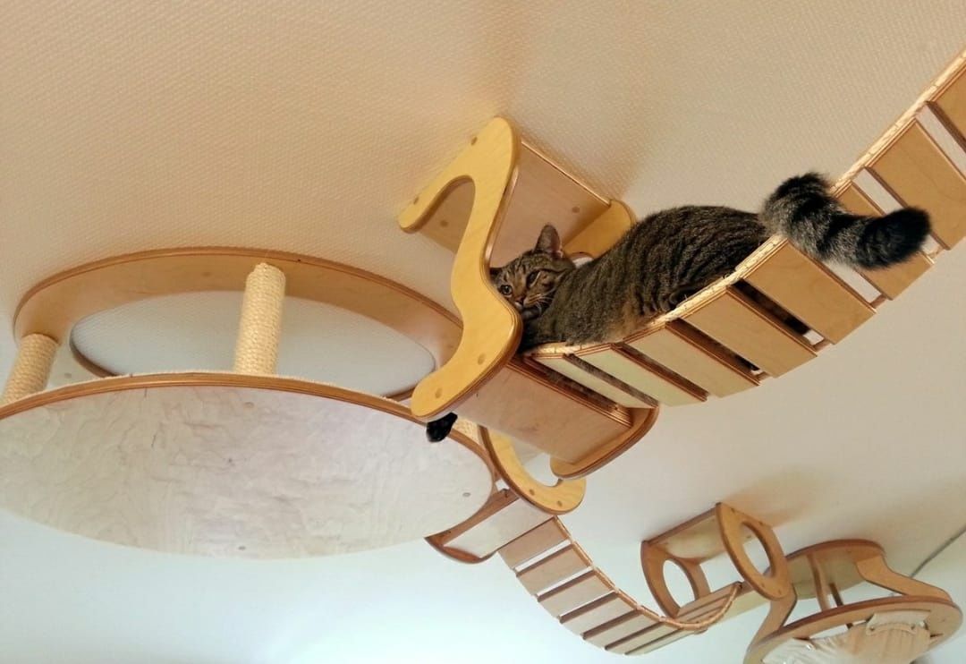 Кошечка Маргошечка с доставкой!
