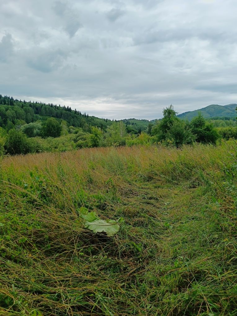 Продам дом в Топихе