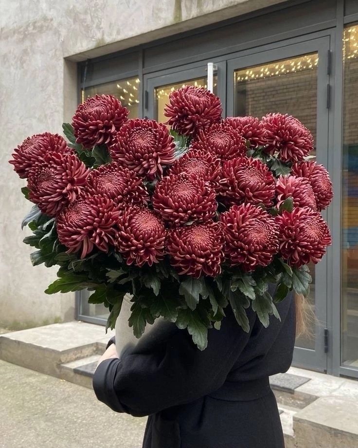 Пионы Голландские, Розы, хризантемы