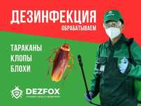 Уничтожение Клопов Тараканов Крыс Мышей Блохи Насекомых Дезинфексия