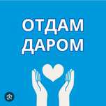Отдам даром детскую обувь