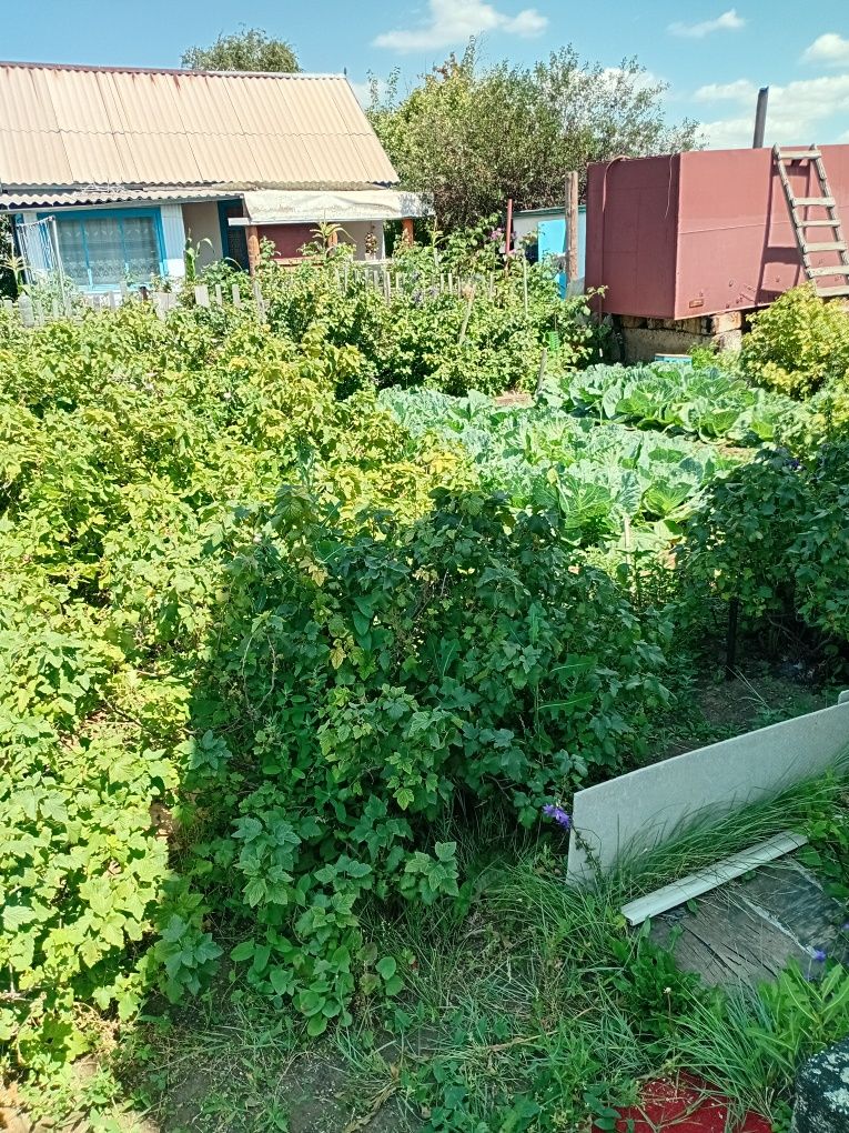 Продаётся дача в обществе Оптимист