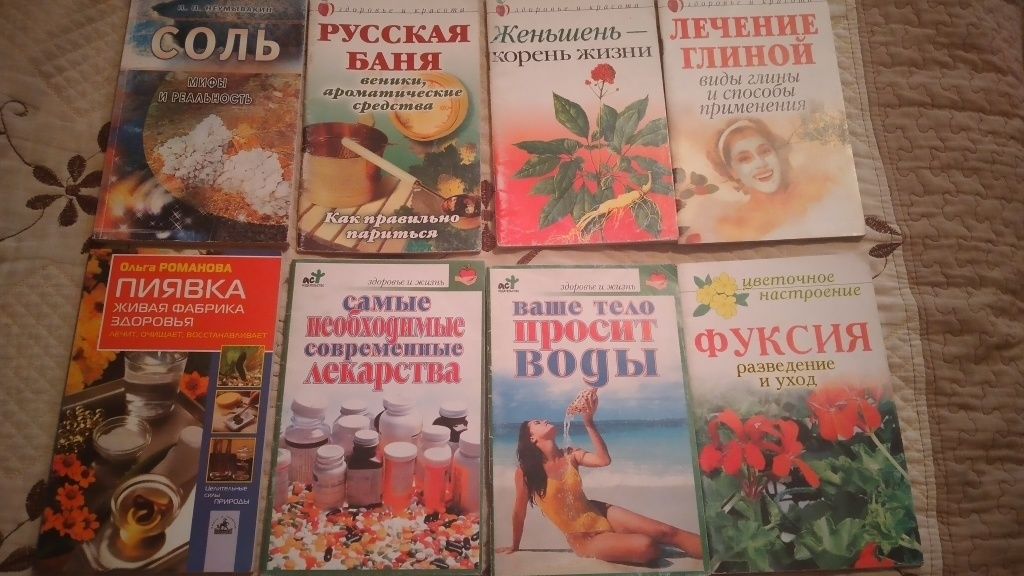 Кактус,фуксия,зверобой,травник