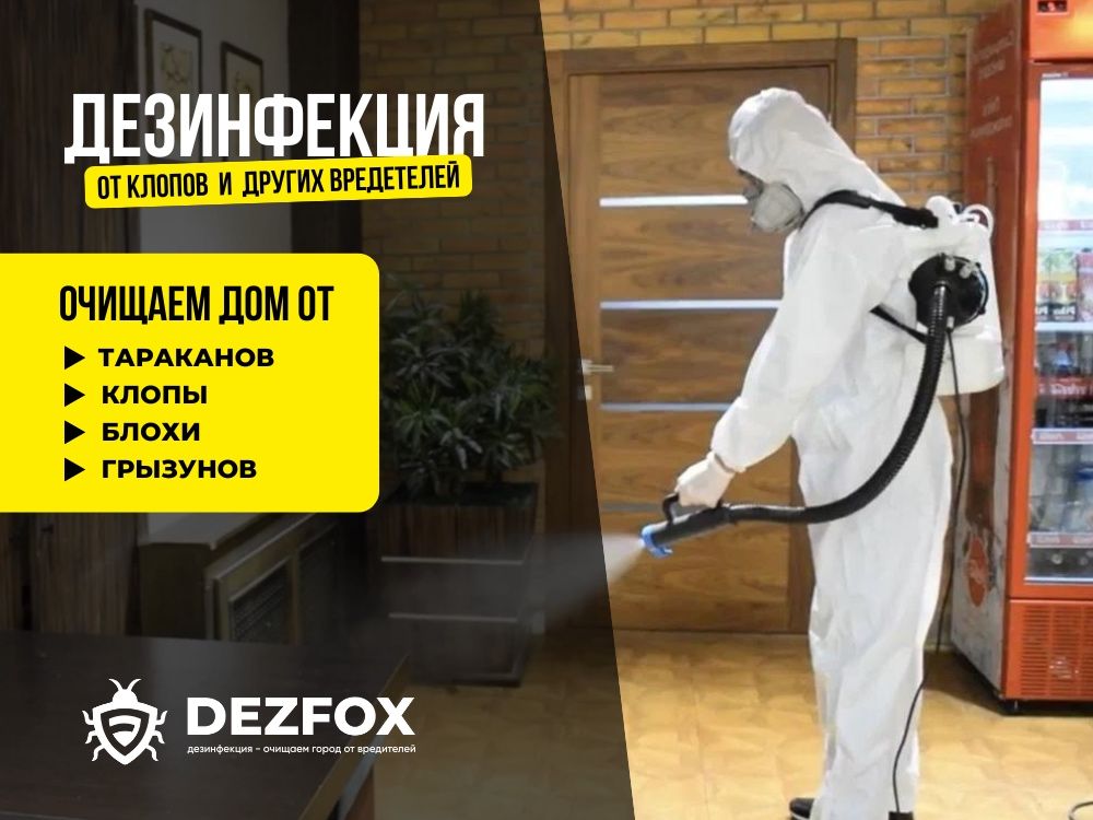 Дезинфексия Уничтожение Клопов Тараканов Крыс Мышей В Доме Кафе Скидка